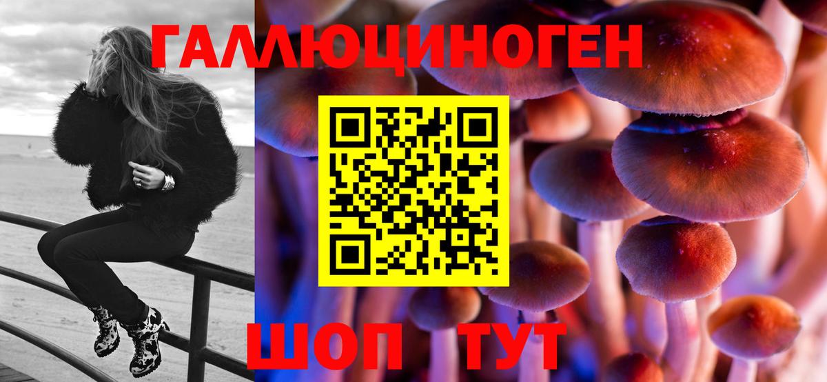 Баксан  Галлюциногенные грибы мухоморы  Псилоцибиновые грибы мицелий  Вход с VPN 